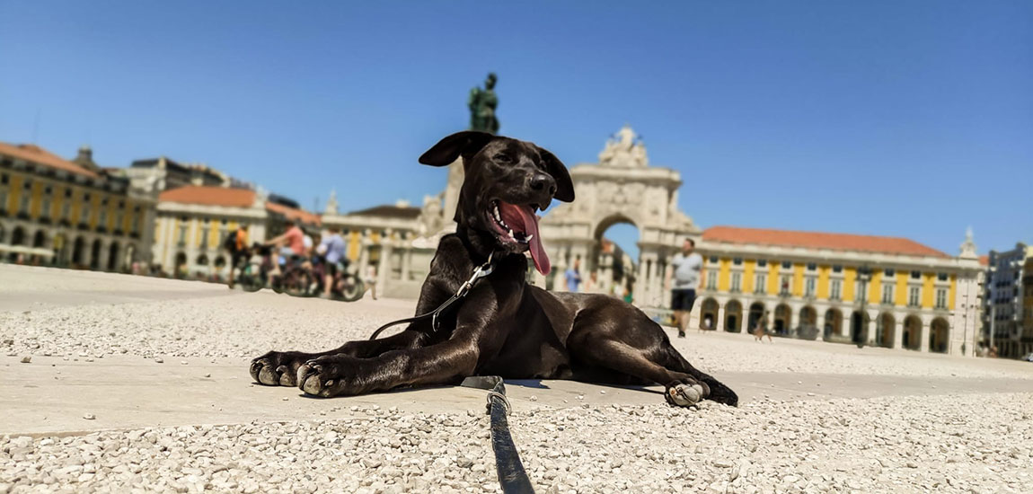 Tu e eu juntos mudamos o mundo