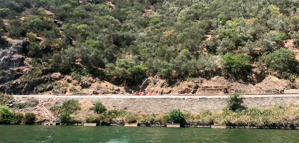 Linha do Douro - Renovação de barreiras dinâmicas de proteção a taludes
