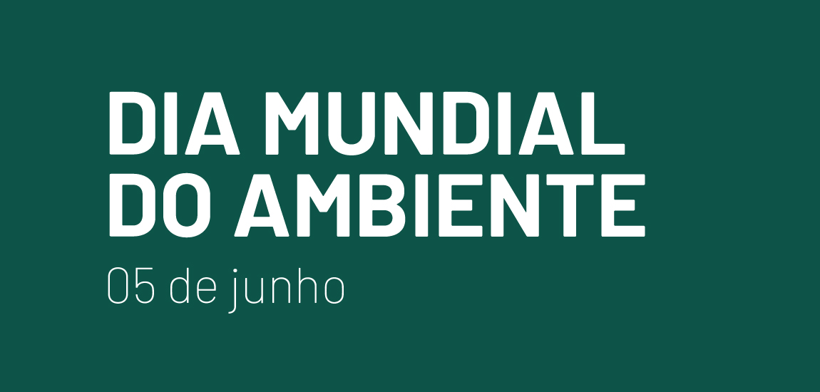 Imagem Dia Mundial do Ambiente 2025
